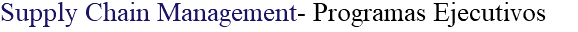 Supply Chain Management- Programas Ejecutivos