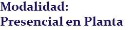 Modalidad: Presencial en Planta